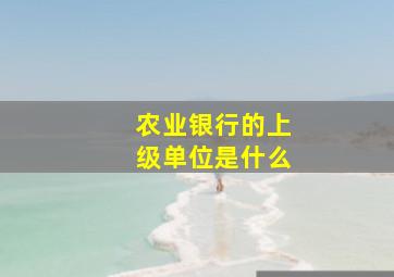 农业银行的上级单位是什么