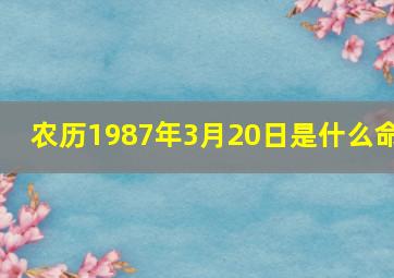 农历1987年3月20日是什么命