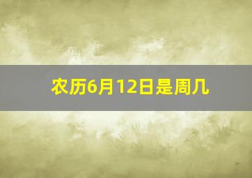 农历6月12日是周几