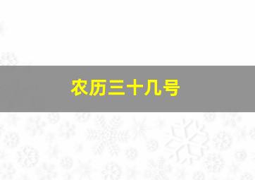 农历三十几号