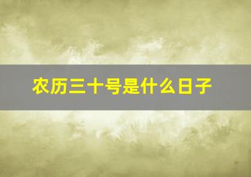 农历三十号是什么日子