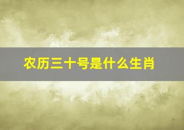 农历三十号是什么生肖