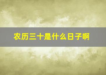 农历三十是什么日子啊