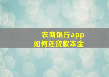 农商银行app如何还贷款本金