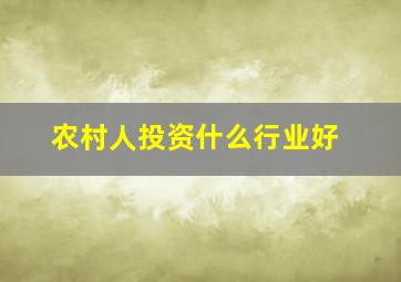 农村人投资什么行业好