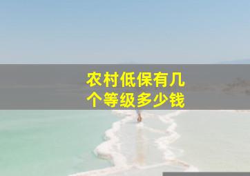 农村低保有几个等级多少钱