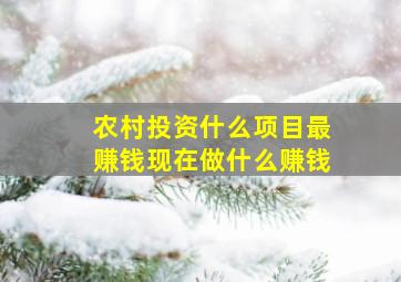 农村投资什么项目最赚钱现在做什么赚钱