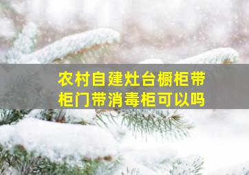 农村自建灶台橱柜带柜门带消毒柜可以吗