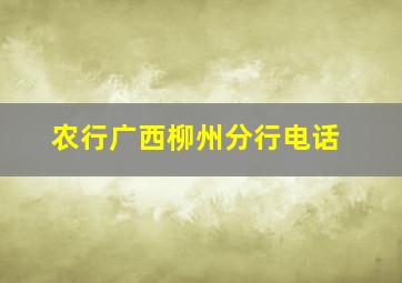 农行广西柳州分行电话