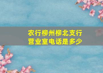 农行柳州柳北支行营业室电话是多少