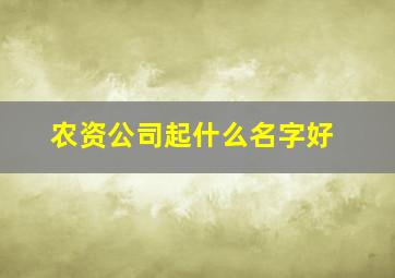 农资公司起什么名字好