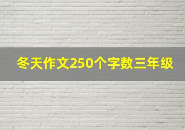 冬天作文250个字数三年级