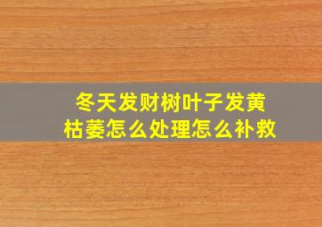 冬天发财树叶子发黄枯萎怎么处理怎么补救