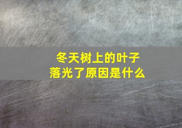 冬天树上的叶子落光了原因是什么