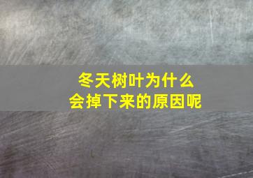 冬天树叶为什么会掉下来的原因呢