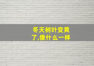 冬天树叶变黄了,像什么一样