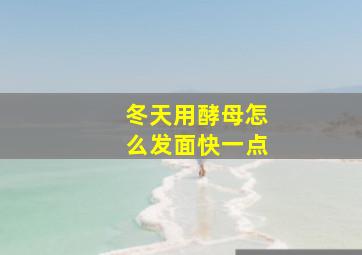 冬天用酵母怎么发面快一点