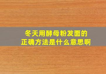 冬天用酵母粉发面的正确方法是什么意思啊