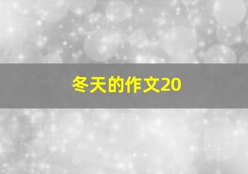 冬天的作文20