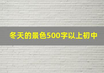 冬天的景色500字以上初中