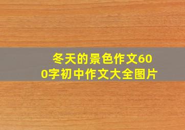 冬天的景色作文600字初中作文大全图片