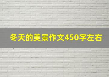 冬天的美景作文450字左右