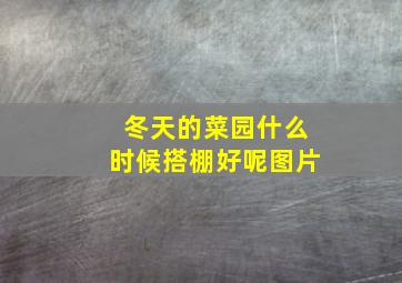 冬天的菜园什么时候搭棚好呢图片