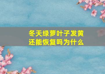 冬天绿萝叶子发黄还能恢复吗为什么