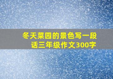 冬天菜园的景色写一段话三年级作文300字