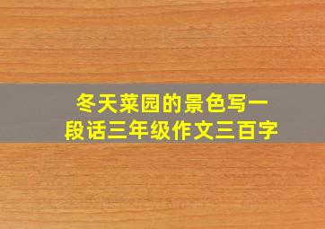 冬天菜园的景色写一段话三年级作文三百字