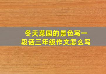 冬天菜园的景色写一段话三年级作文怎么写