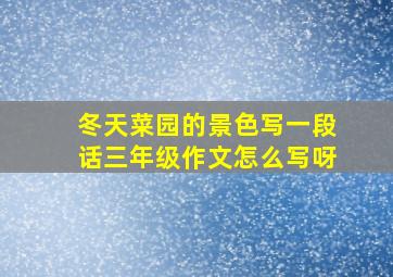 冬天菜园的景色写一段话三年级作文怎么写呀