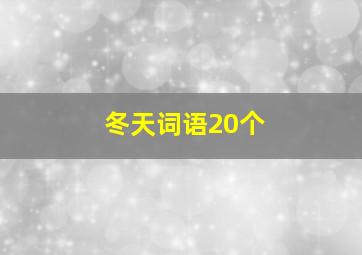 冬天词语20个