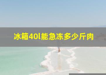 冰箱40l能急冻多少斤肉