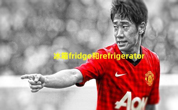 冰箱fridge和refrigerator