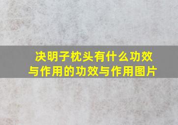 决明子枕头有什么功效与作用的功效与作用图片