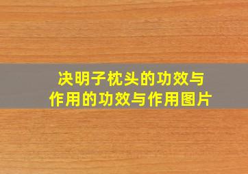 决明子枕头的功效与作用的功效与作用图片