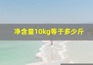 净含量10kg等于多少斤