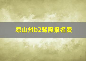 凉山州b2驾照报名费