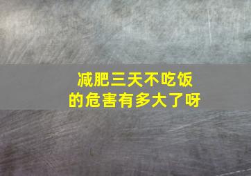 减肥三天不吃饭的危害有多大了呀