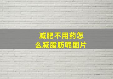 减肥不用药怎么减脂肪呢图片