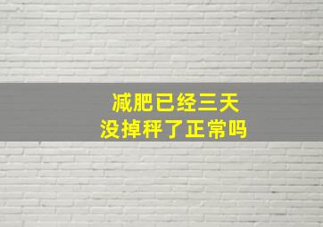 减肥已经三天没掉秤了正常吗