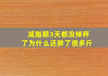 减脂期3天都没掉秤了为什么还胖了很多斤