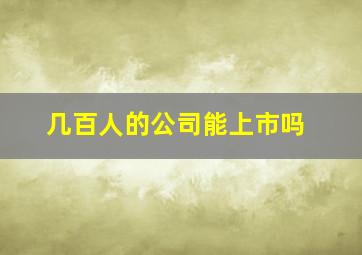 几百人的公司能上市吗