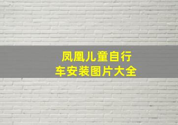 凤凰儿童自行车安装图片大全