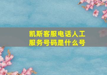 凯斯客服电话人工服务号码是什么号