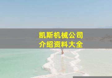 凯斯机械公司介绍资料大全