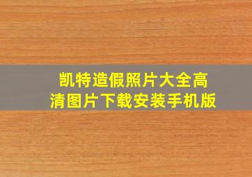 凯特造假照片大全高清图片下载安装手机版