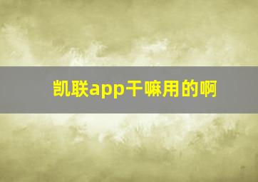 凯联app干嘛用的啊