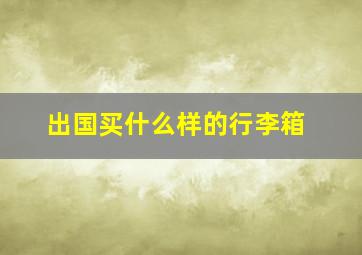 出国买什么样的行李箱